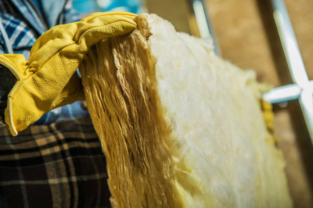 Best Insulation Removal  in Tamaqua, PA