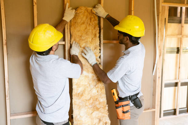 Best Blown-in Insulation  in Tamaqua, PA