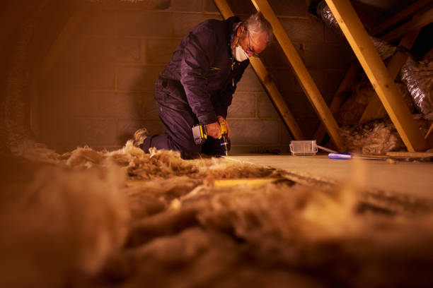 Insulation Inspection Services in Tamaqua, PA